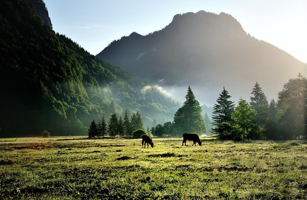 Landhotel Boeld Oberammergau Esterno foto